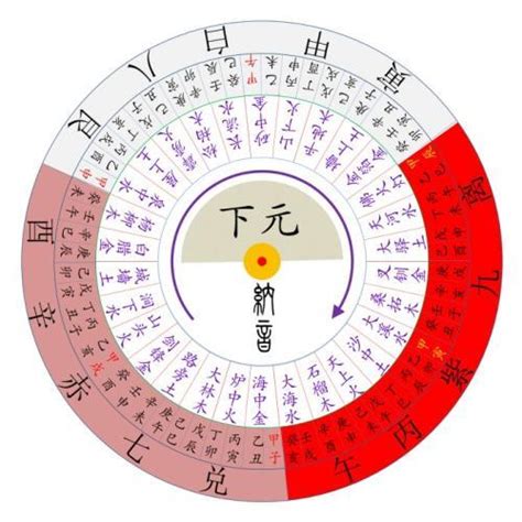 9運風水 栗子 樹